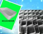 深圳市鼎冠假牙制作有限公司官網(wǎng)上線了！